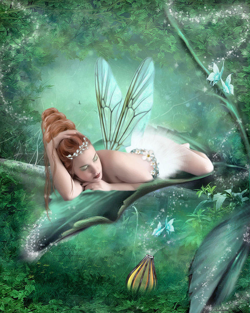 Faerie willow