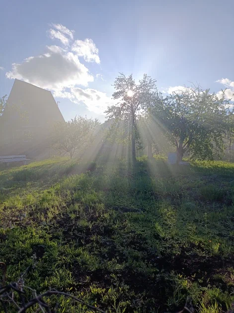 Что в нашей жизни боль?