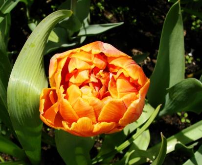 Кто же ты мне?