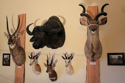 Охотничий зал