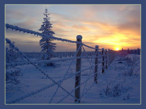 Опять закручивают гайки