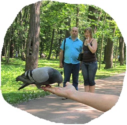 Без адресного поголовья