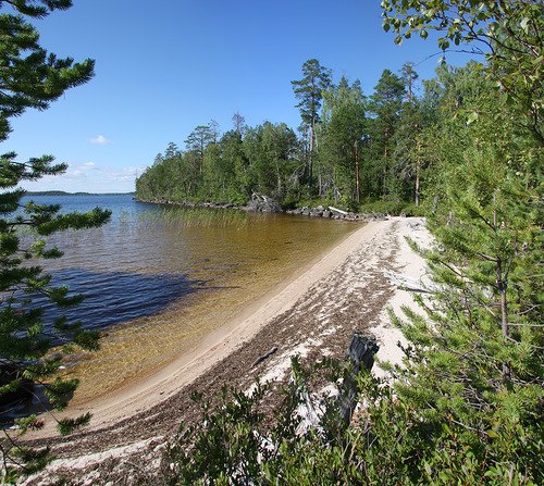 Лес, река и красота