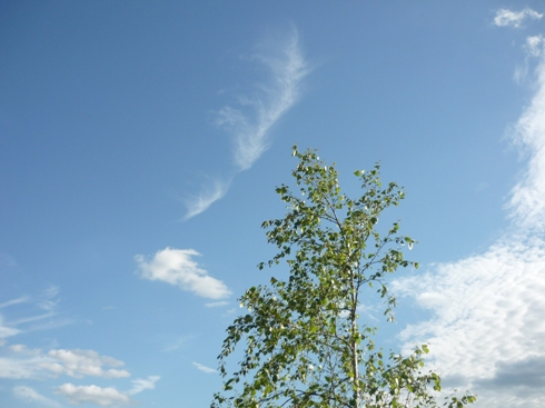 Посмотри, какое небо!