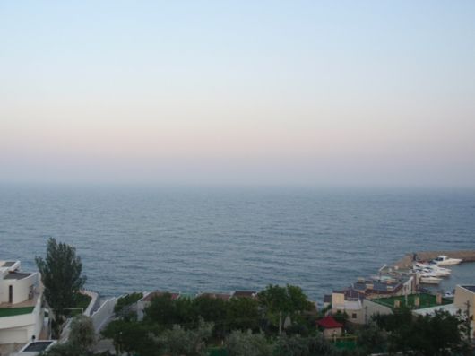 Природа живёт... в гармонии с миром... любя...