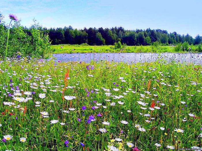 Давай останемся в июле