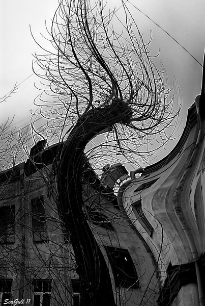 Надоели, параллельные здания