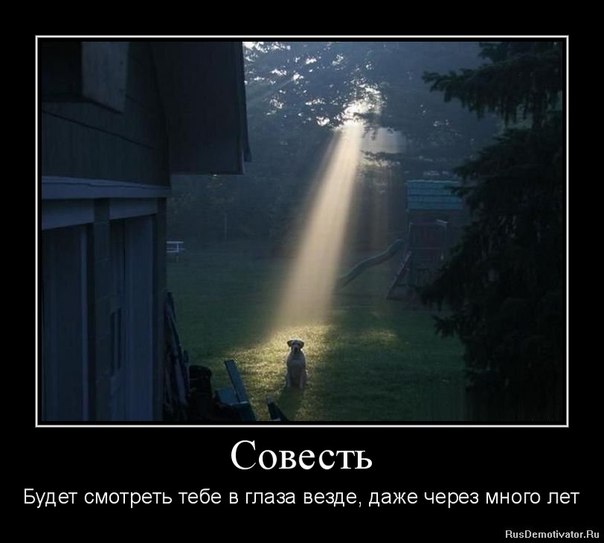 Усомнилась в воле Бога я