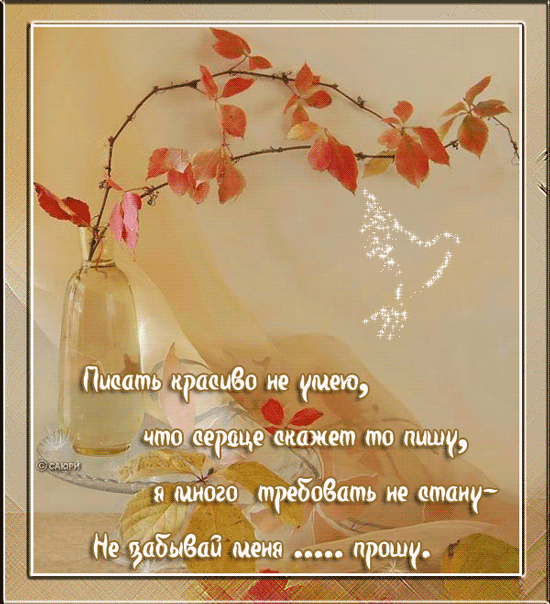 Я прогоню былые чувства