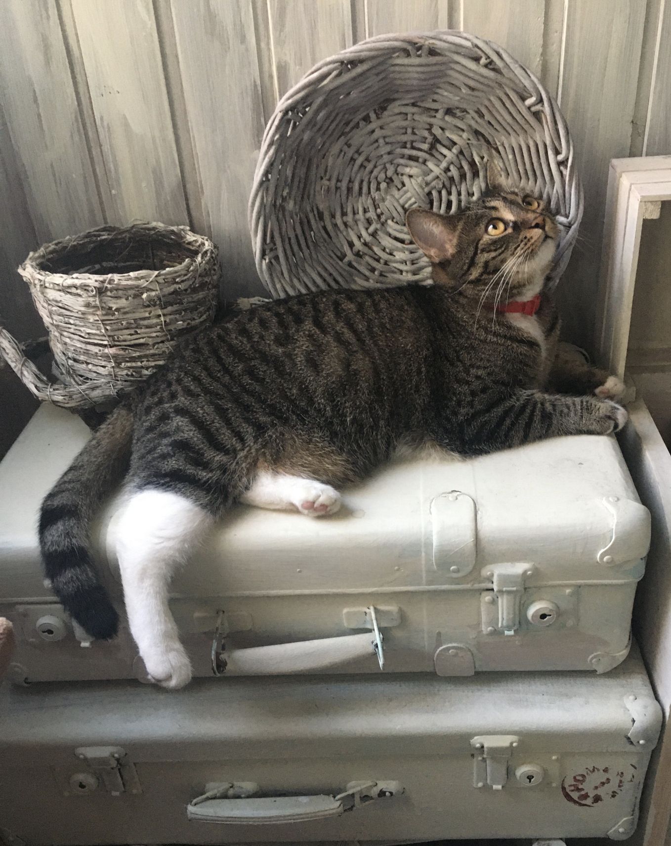 Уехать, скорее уехать