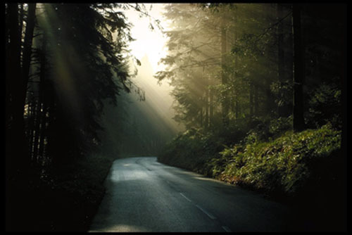 1. Возвращение домой