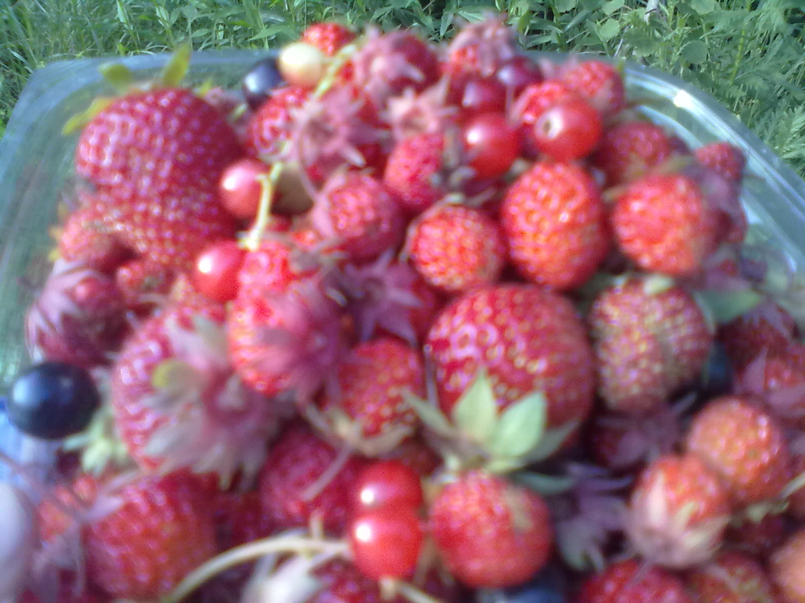 Подарок для мужчин