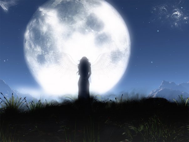 Не треба слiв