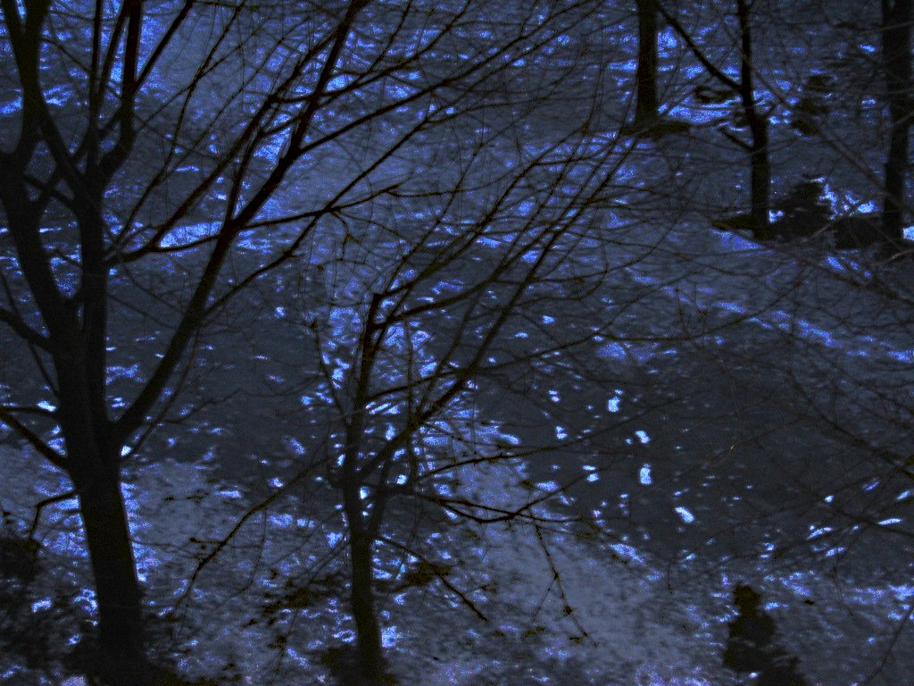 Замерз совсем, иду по бездорожью