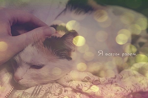 Колыбельная