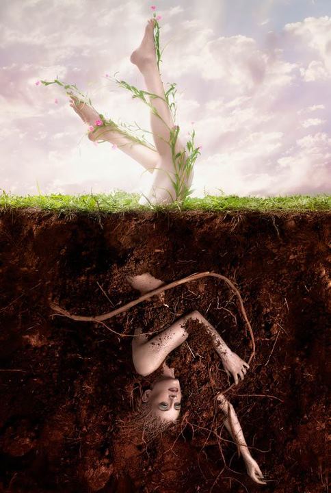 Aaron Nace