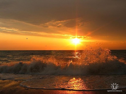 Посвящение любимому