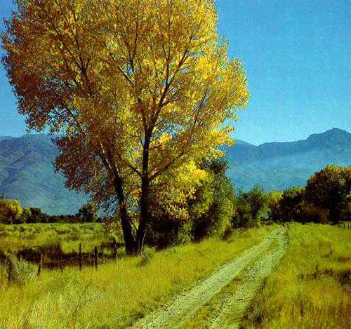 5. Перед грозой