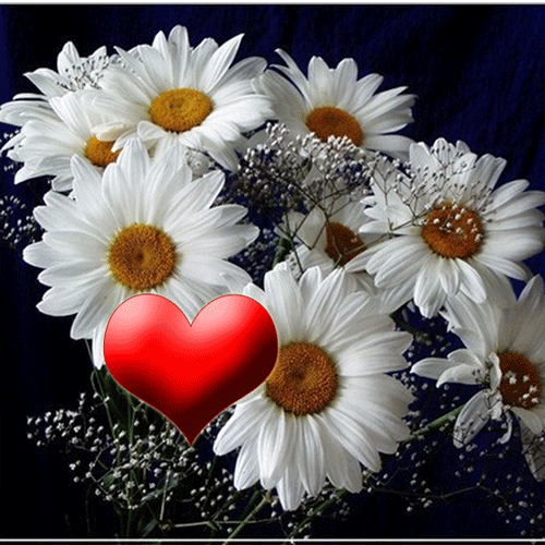 С Молитвой Боже Сохрани!