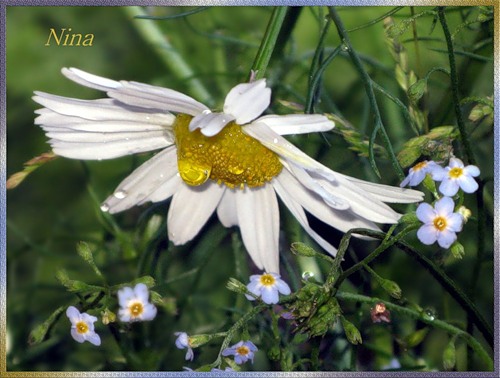 зарифмованная грусть...