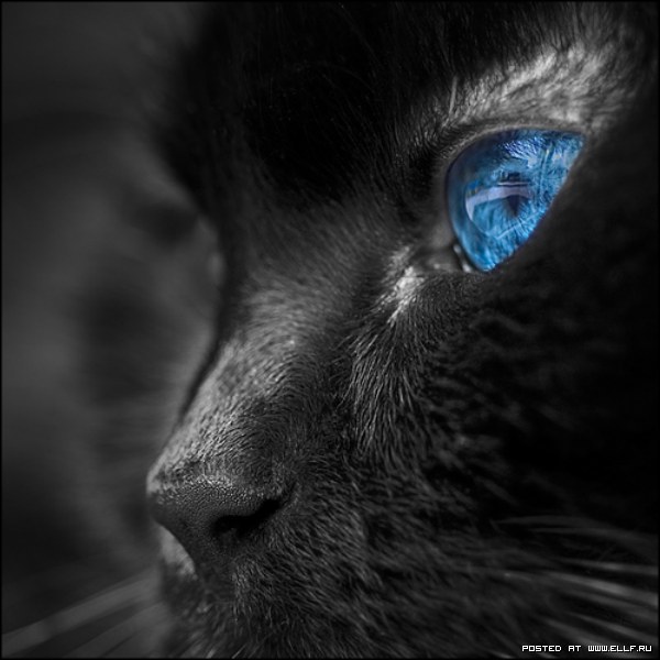 Плохо или хорошо