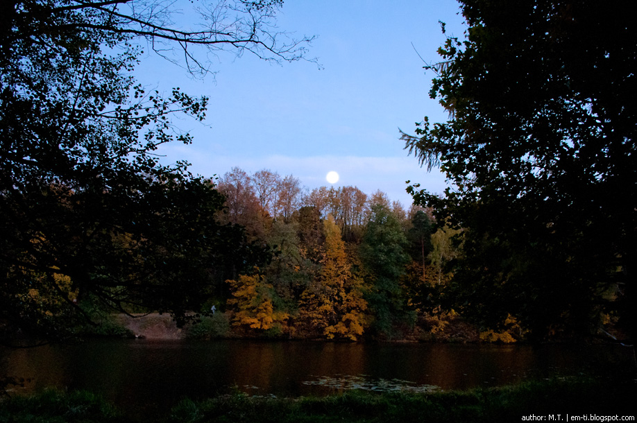 По Богом Заданной Программе
