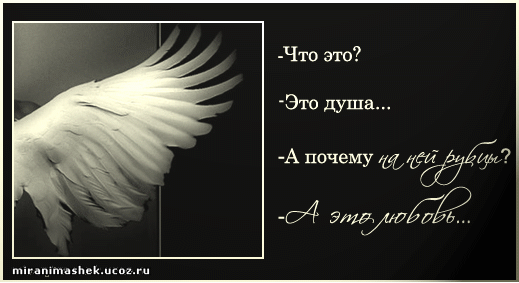 целое наполовину...