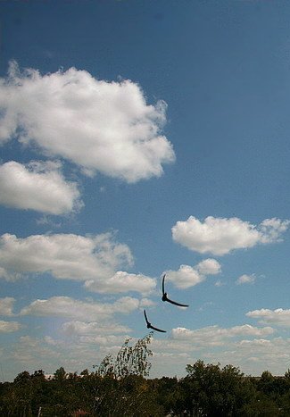 Будто не было туч