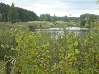 Не смотрю, что отгорело