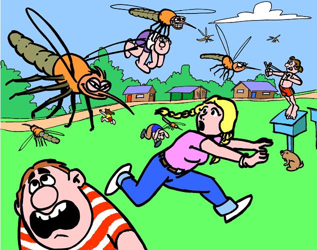 Лето. Солнце. Фрукты. Море