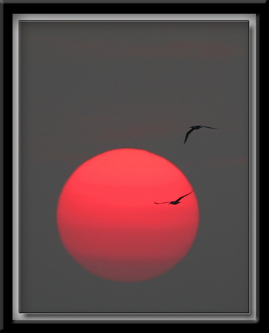 Над пропастью разлуки... Подруге...