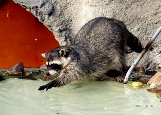 Летние приключения