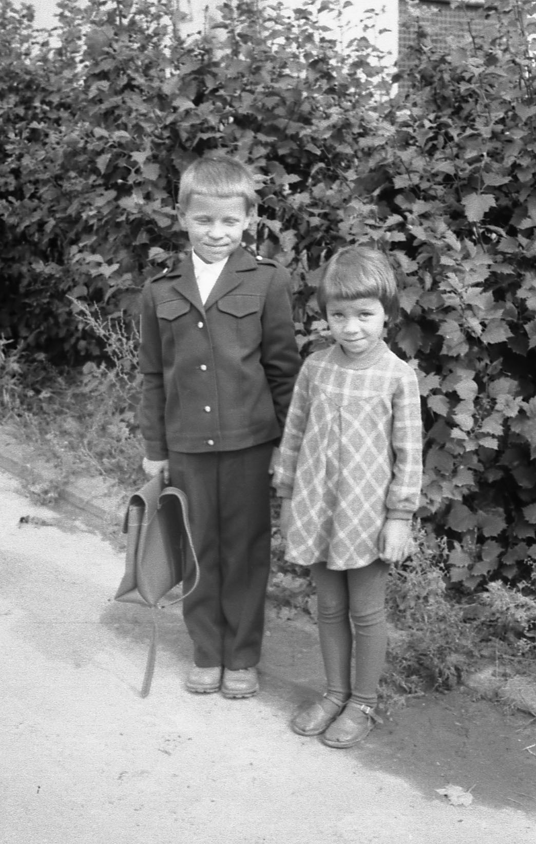 Соцветие юных грез души наивной