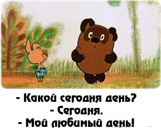 День волшебника