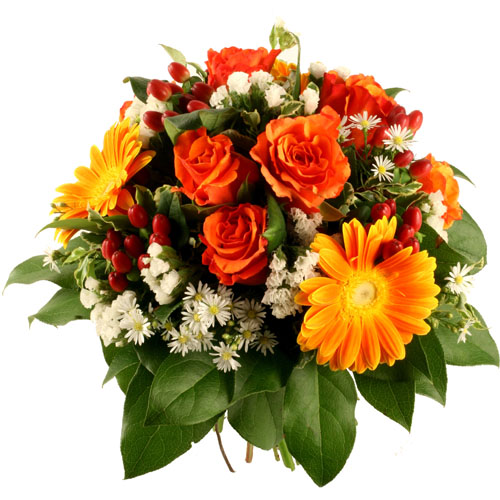 Наташе Бигарь-Шамро