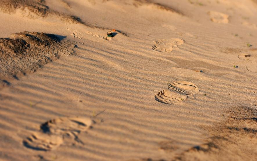 поющий бархан в казахстане. пески хонгорын элс. поющая песчаная. поющий бархан в казахстане. аккум калкан поющий бархан.