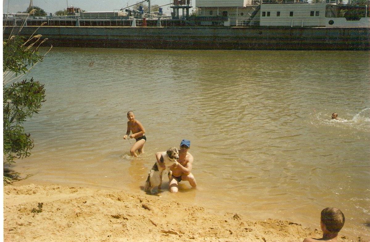 Дачные войны -6 юмор с горчинкой