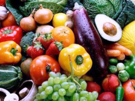 Люди берегут свои привычки