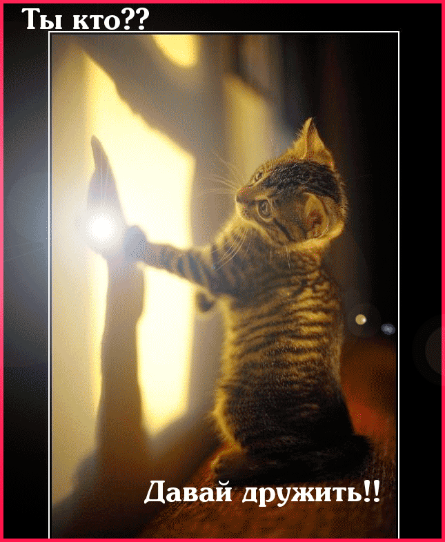 Подруга тень