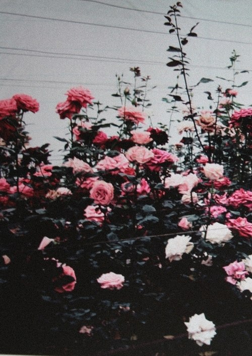 Вы нас с разных этажей истребили