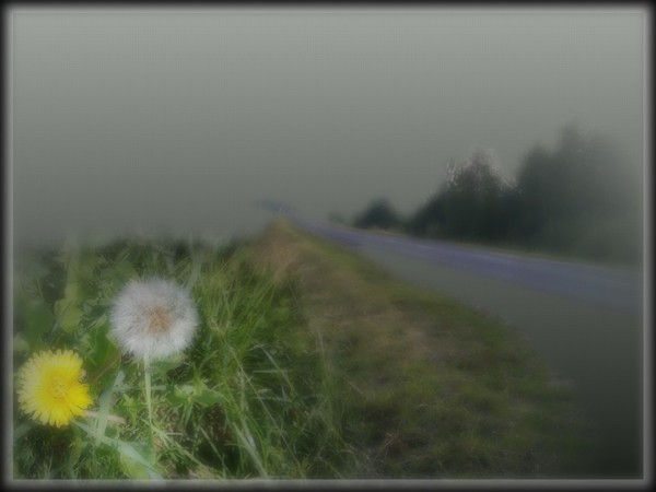 Придорожная сказка