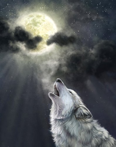 Ты не одна в ночи, луна! фото авт