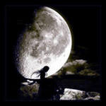 полночь. тишина...