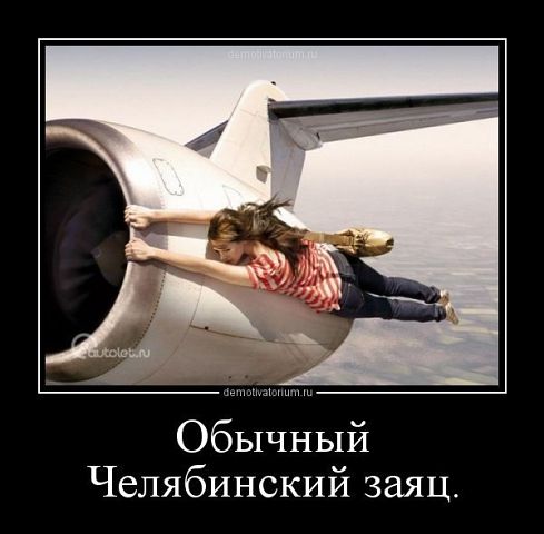 Обычный заяц