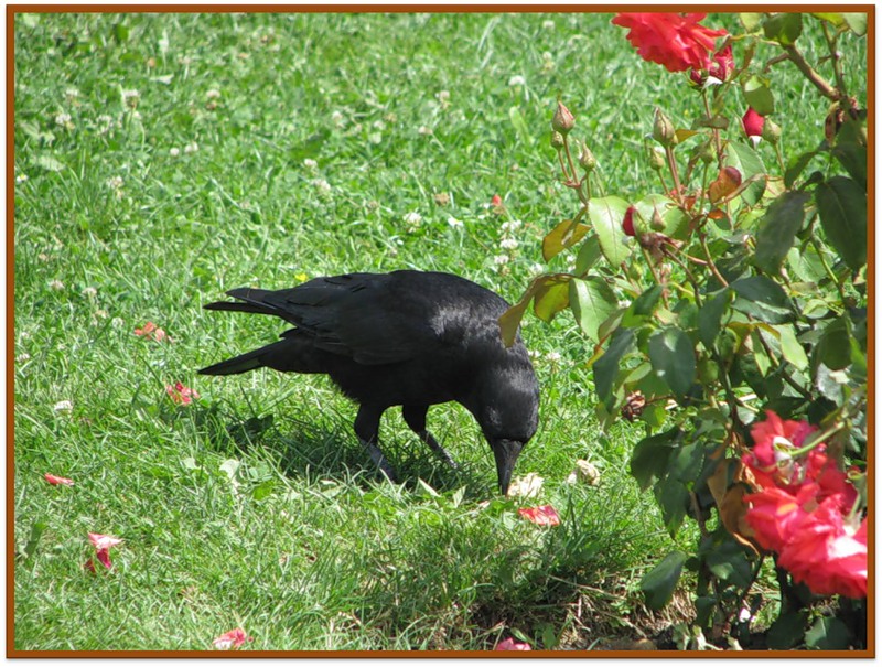 Стихи для детей