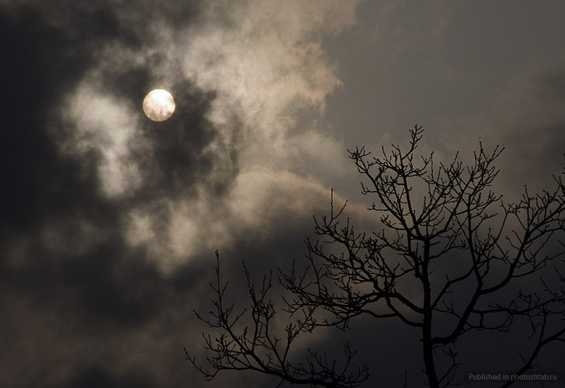 Тебя не встречу