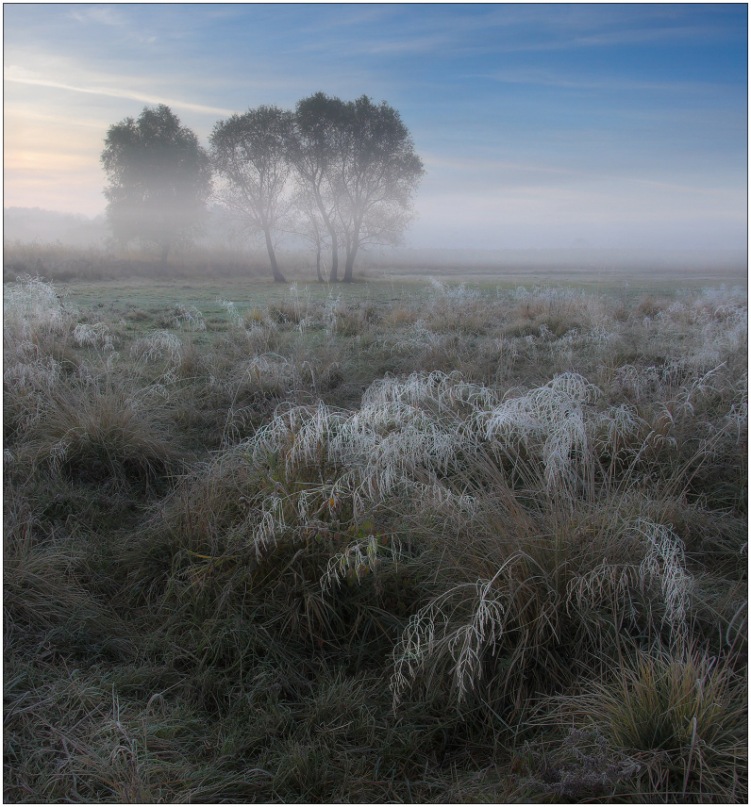 Песни из тумана
