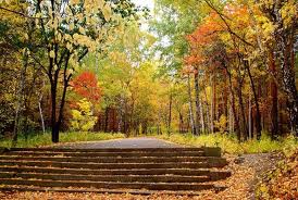 Осенняя песня