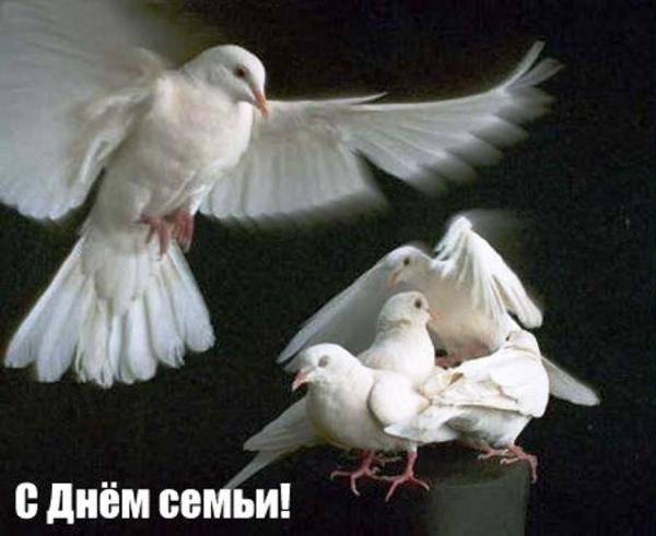 Пятнадцать лет назад