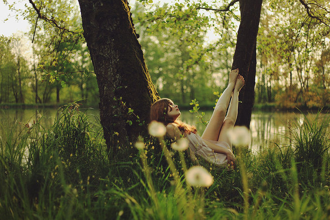 Тополь был влюблен..